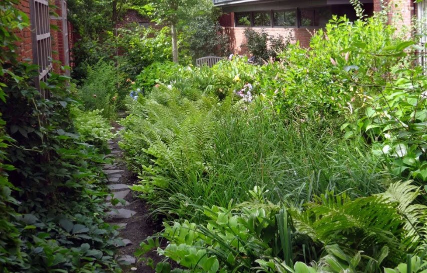 Longfellow Arboretum, United States